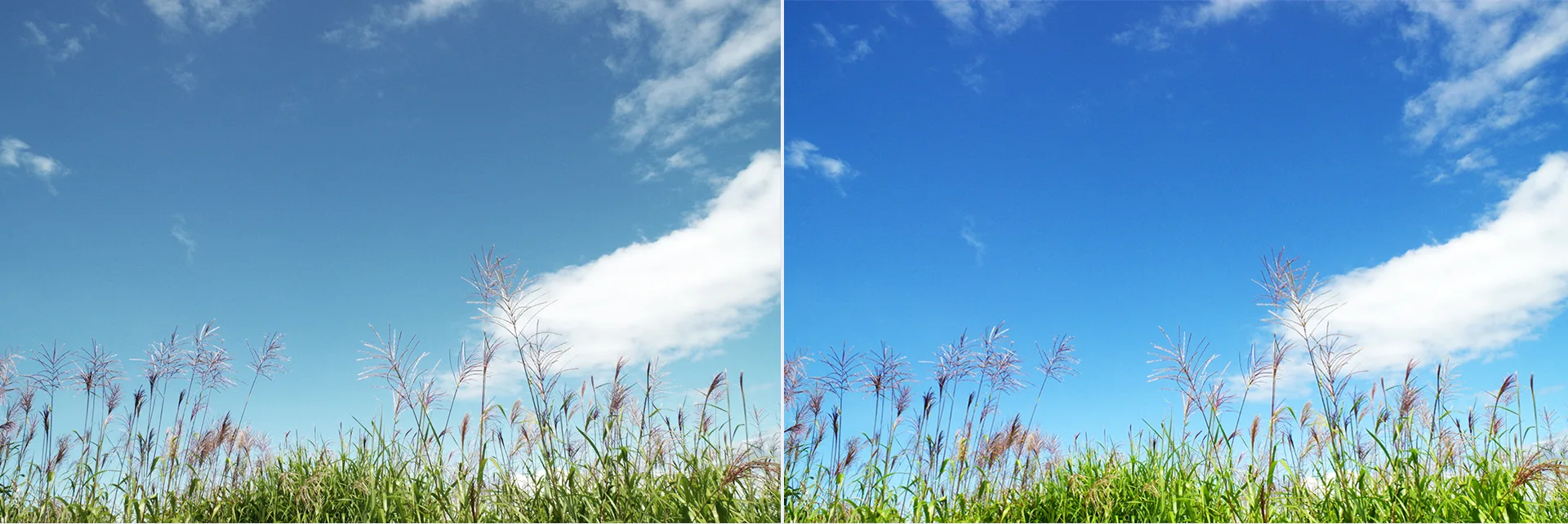 multiple color modes