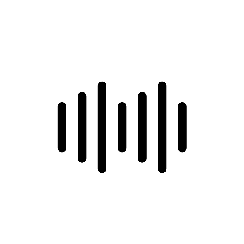 Dual-Mic-Audioeingang