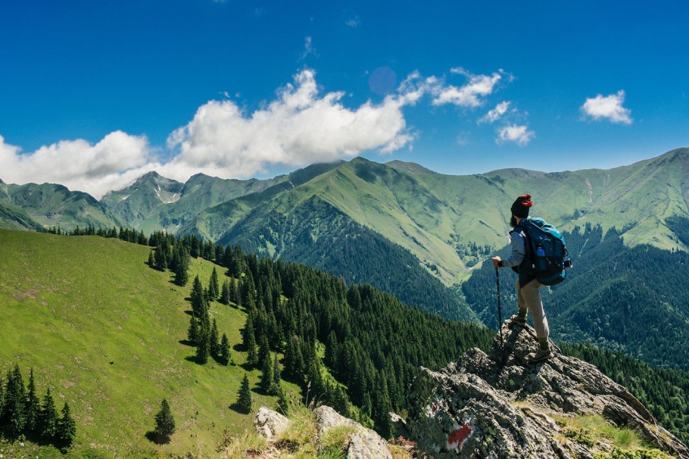 ճանապարհորդական արկածային