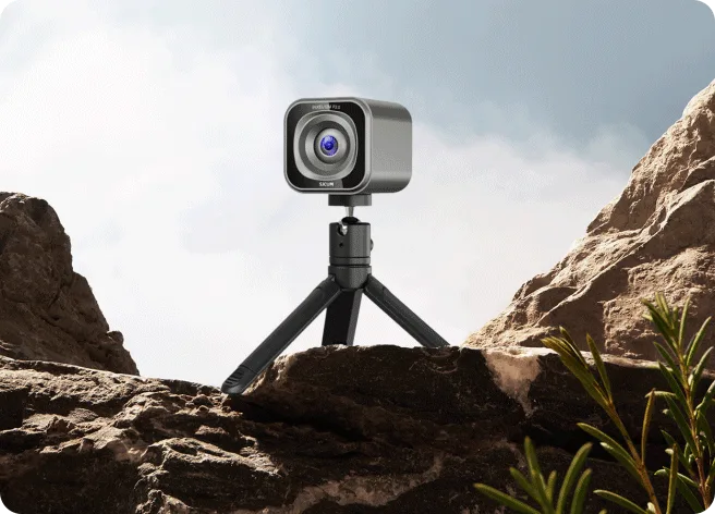 Tripods and Mounts for Stability
