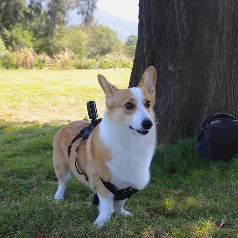 Correa para mascotas SJCAM para perros