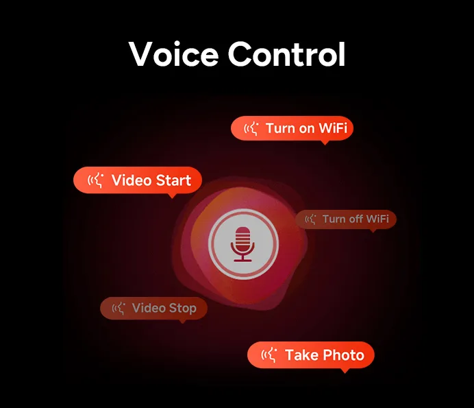 voice control