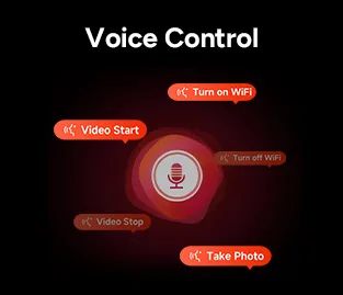 voice control