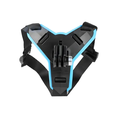 Helmet Mount