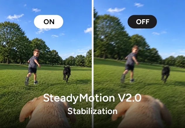 stabilizzazione Steadymotion v2.0