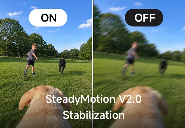 stabilizzazione Steadymotion v2.0
